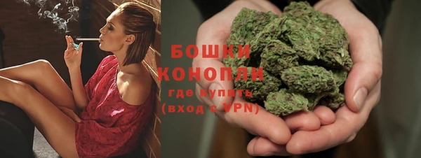 гидра Белоозёрский