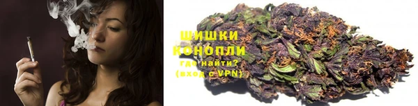 каннабис Белокуриха