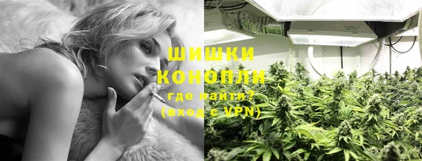 гидра Белоозёрский