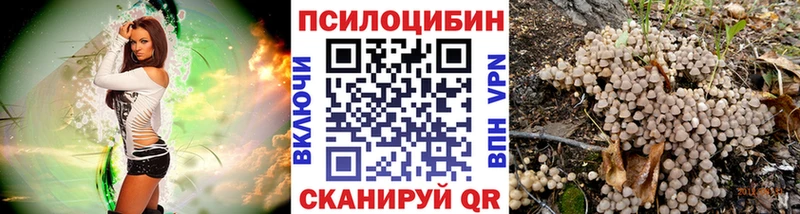 Псилоцибиновые грибы Psilocybine cubensis  Карачев 